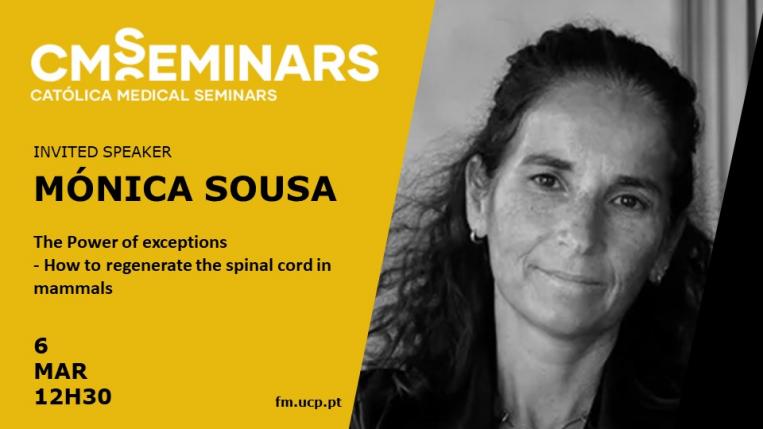 Mónica Sousa Seminar