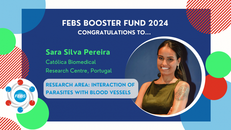 Prémio FEBS Booster Fund 2024 atribuído a Sara Silva Pereira do CBR